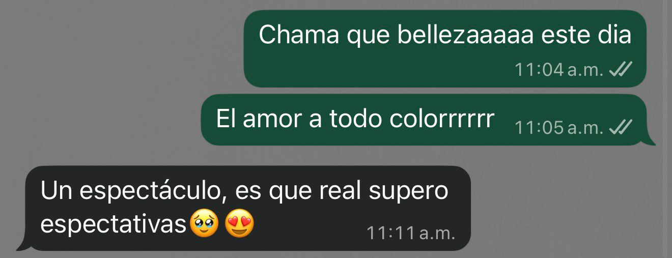 Conversación de WhatsApp celebrando un pedido como espectáculo
